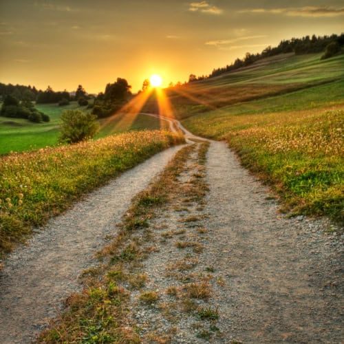 Sunset over a winding dirt path through a green, grassy field, surrounded by gentle hills and trees.